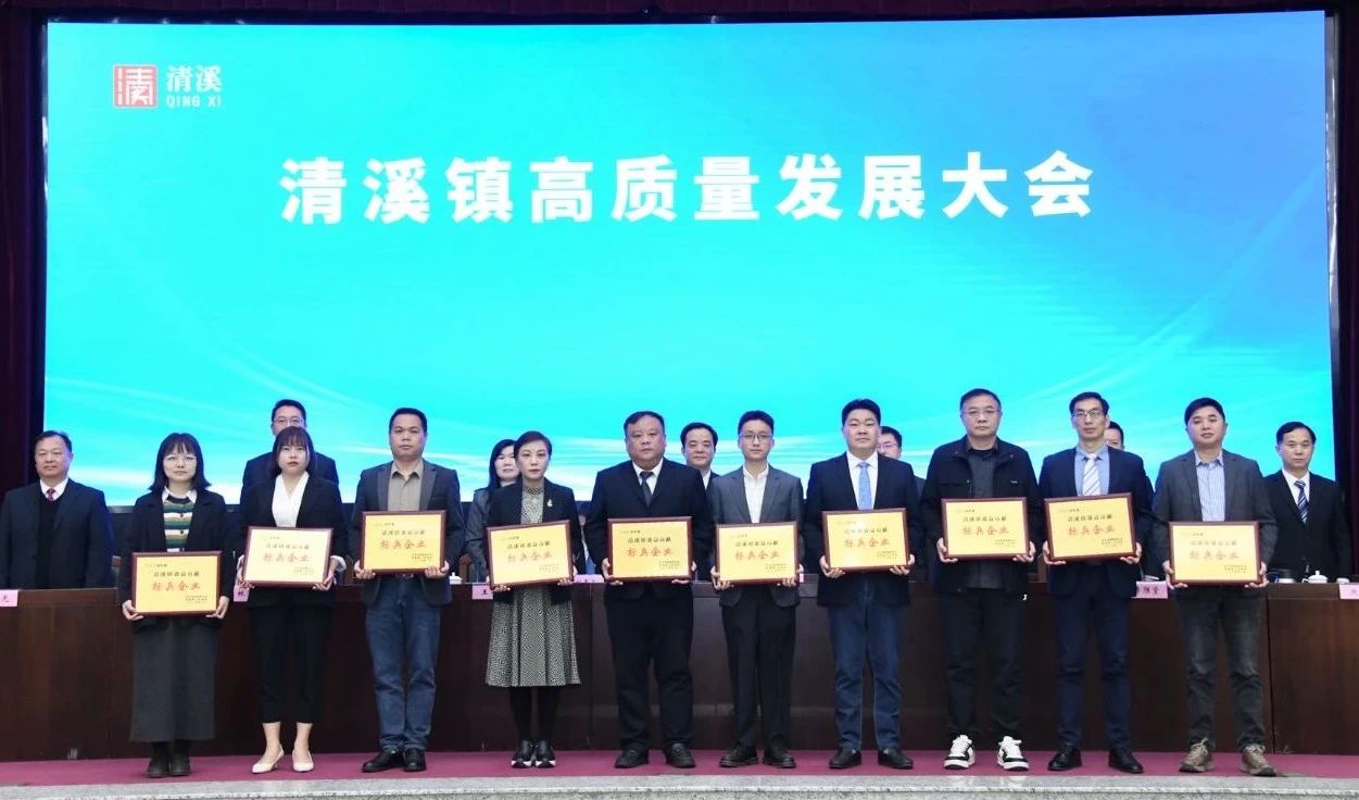 喜訊：宜安科技榮獲2024年度“清溪鎮主營業務收入及效益貢獻標兵企業”
